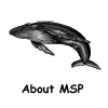 About MSP